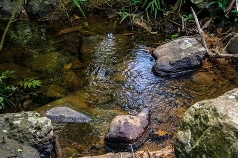 Trilha Janela Do C U Parque Natural De Nova Igua U Sou Carioca