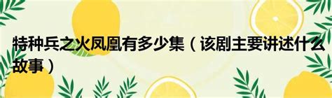 特種兵之火鳳凰有多少集 電視連續劇特種兵之火鳳凰劇情 太闲吧