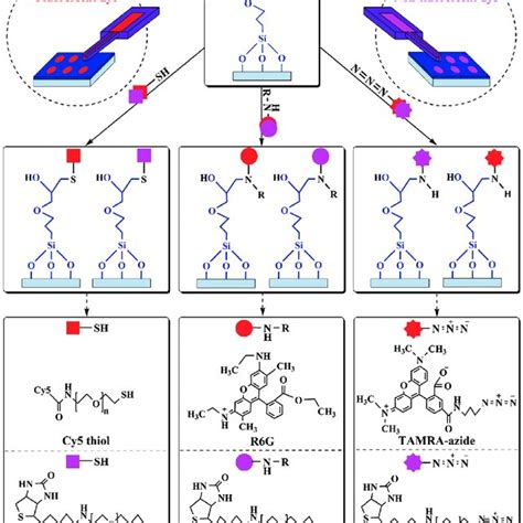 Pdf Protein Microarray Immobilization Via Epoxide Ring Opening By