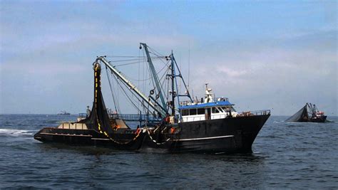 Historia Y Balance ¿cómo Se Ha Manejado La Pesca De Anchoveta En El