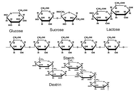 Carbohydrates Carbohydrate Molecular Structure