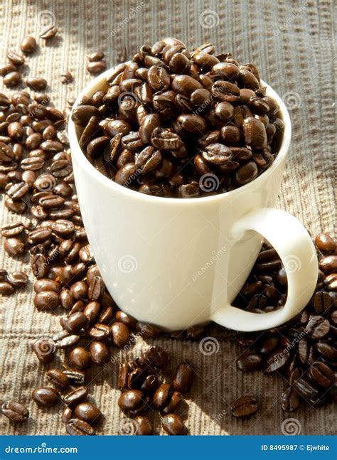 French Roast Coffee Beans Royalty Free Stock Photography Image 8495987