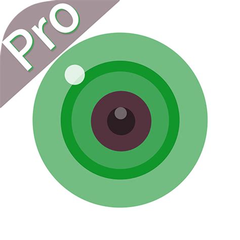 ICSee Pro Apps No Google Play