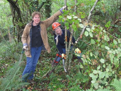 Coppicing Axewoods