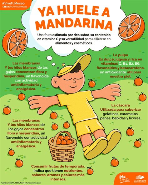 Diario del Yaqui Ya inició la temporada de mandarina conoce datos