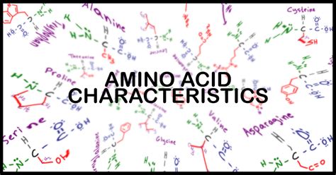 Understanding Amino Acid Side Chain Characteristics for the MCAT