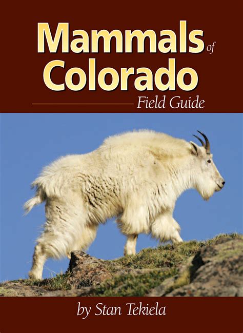 Mammals Of Colorado Field Guide Adventurekeen Shop