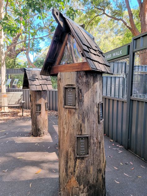 Port Macquarie Koala Hospital - Destination's Journey