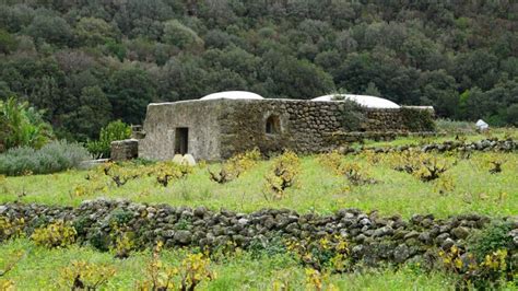 Pantelleria è Zibibbo tutti a confronto per il futuro della Perla