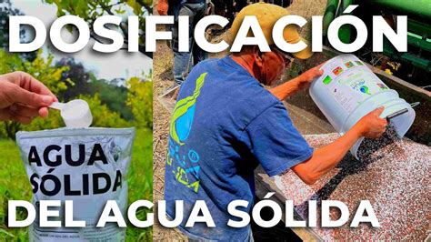 Dosificaciones Agua S Lida Generales Para Todo Tipo De Plantas Youtube