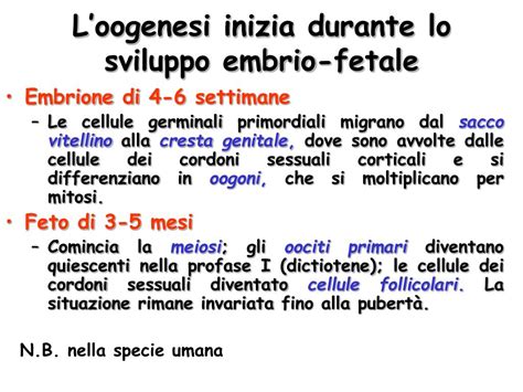 Ppt Apparato Riproduttivo Femminile Powerpoint Presentation Free Download Id5475948