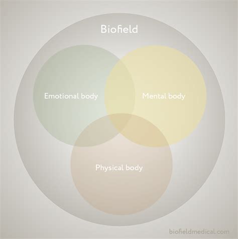 Quantum Biofield Therapy | Healing the cause, not just the effect.