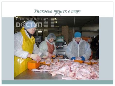 Технология убоя и переработки мяса птицы. Урок 161-162 - презентация онлайн