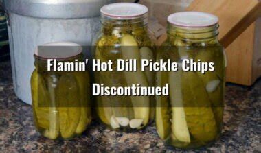 Flamin Hot Dill Pickle Chips Discontinued Small Tips For Business