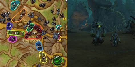 Complete Guide To Brackenhide Hollow Dungeon In Wow Dragonflight