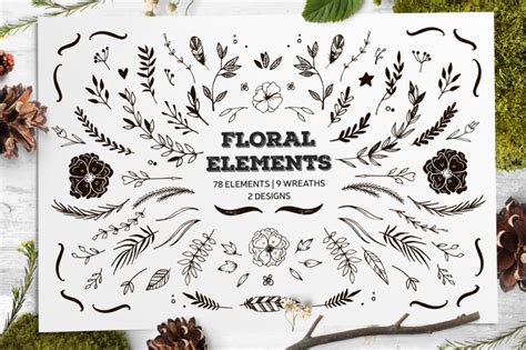 Hand Drawn Floral Elements By Katemacate Thehungryjpeg