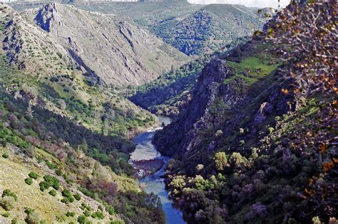 stanislaus river canyon razorback camp   middle  photo