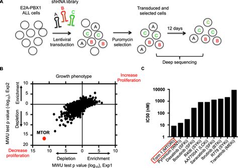 Identification Of Key Genes Using A Shrna Library Screen Approach A