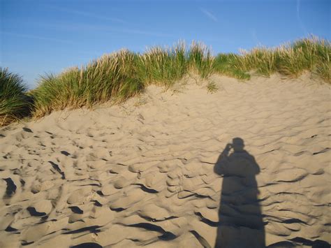 Gratis Afbeeldingen Strand Landschap Zee Gras Zand Woestijn