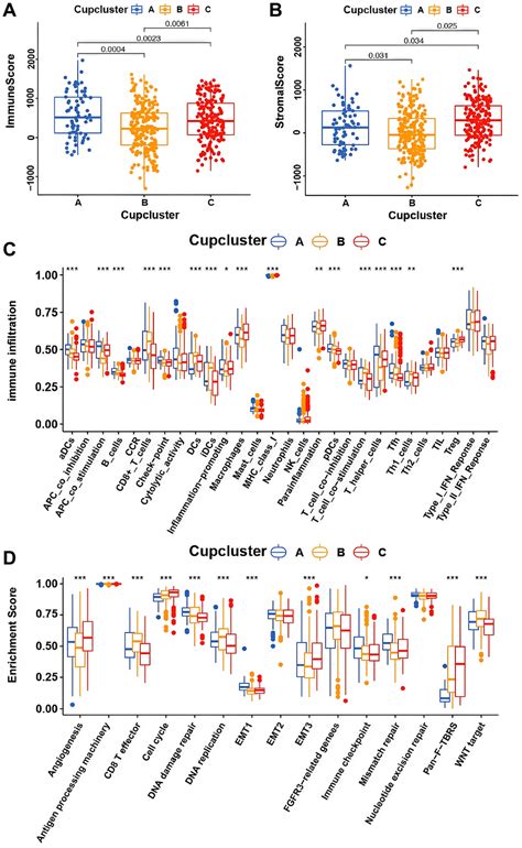 Investigation Of Cuproptosis Regulator Mediated Modification Patterns