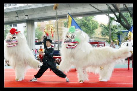 Snow Northern Lion Dance « Wenyang Sports Association (Singapore) | Wen ...