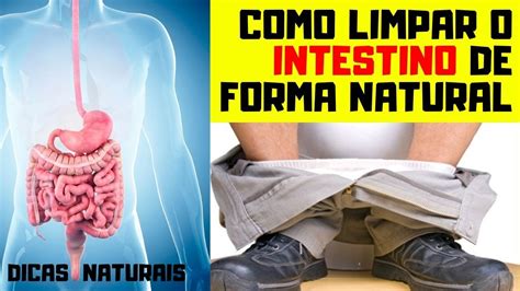 Como Limpar O Intestino De Forma Natural Retire Quilos De Toxinas