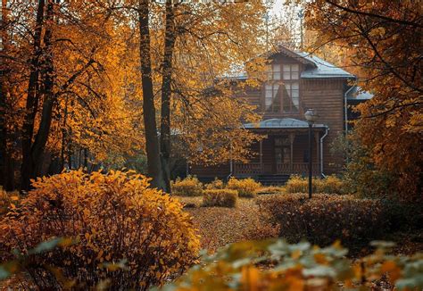 Осенняя дача (75 фото) - красивые картинки и HD фото