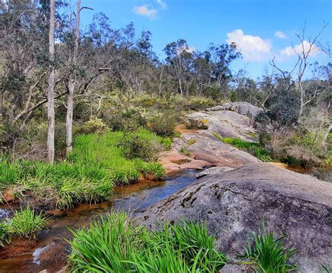 Jarrahdale Trails Wa