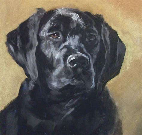 Black Lab Painting By Debbie Anderson Dog Portraits Painting