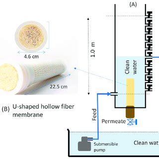 A A Schematic Illustration Of A Gravity Driven Filtration Setup Used