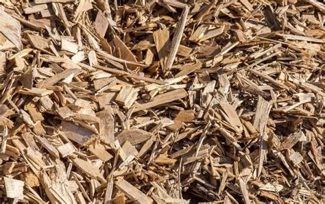 Wooden Scrap Buyer And Dealer In Gujarat India