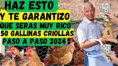 Cómo Iniciar tu Granja de 50 Gallinas Criollas Desde Cero Una Guía