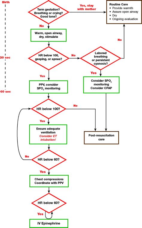 Part 11 Neonatal Resuscitation Circulation