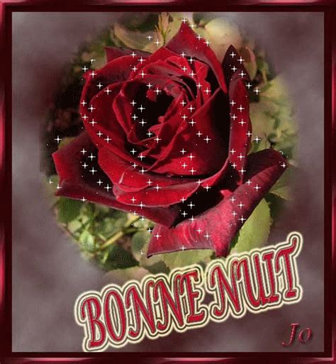 Bonne Nuit Rose Rouge Scintillante