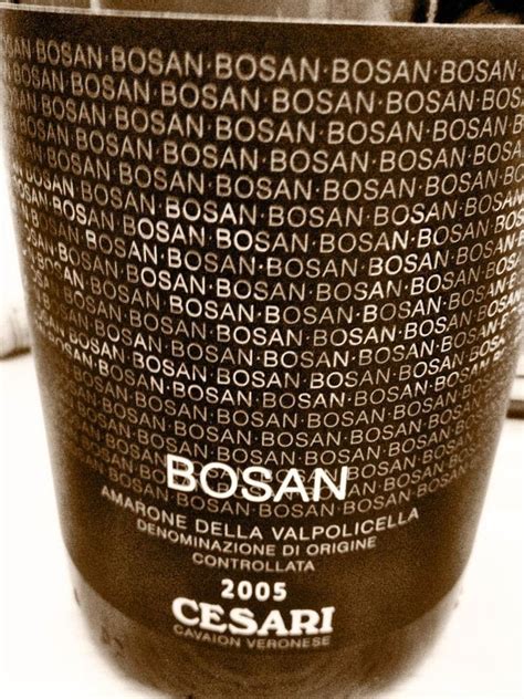 El Alma Del Vino Gerardo Cesari Bosan Amarone Della Valpolicella