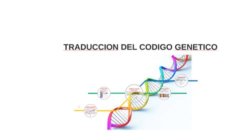 Traduccion Del Codigo Genetico By Sergio Reina On Prezi