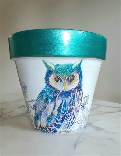 Owl Clay Pot Terracotta Pot Indoor Planter Owl Gift Home Etsy