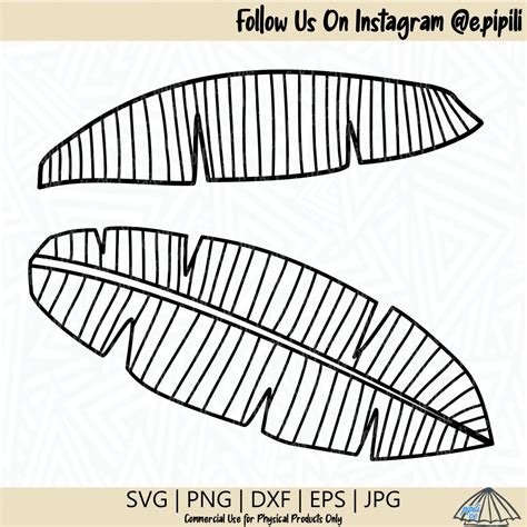 Banana Leaf SVG Leaf SVG Plant SVG Leaves Svg Banana Svg Tropical Plant ...