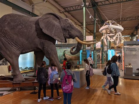 Museo de Ciencias Naturales, dos siglos y medio de divulgación ...