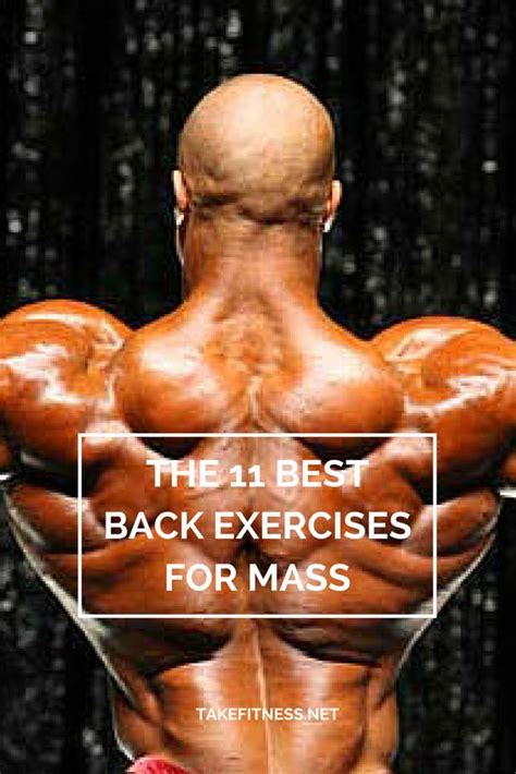 The 11 Best Back Exercises For Mass Awesome Bodybuilding And Look At