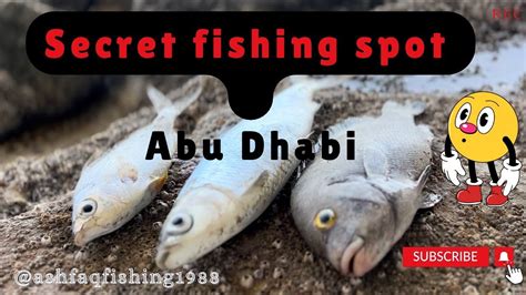 Abu Dhabi S Hidden Fishing Gem Secret Spot Revealed Youtube