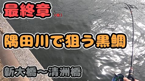 隅田川 で狙う黒鯛【新大橋〜清洲橋】ヘチ釣り20230312 Youtube