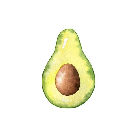 Premium Vector Half Piece Of Avocado With Seed Slice Of Avocado