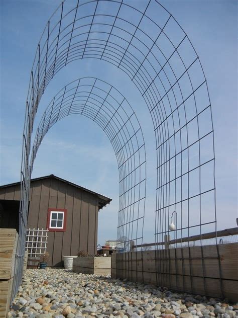 Hog Panel Trellis For Overhead Hanging Garden Toms Cukes Peas Attached At The Inside Of