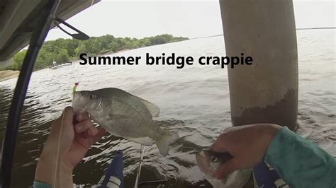 Summer Crappie Fishing Under A Bridge With Jigs Youtube