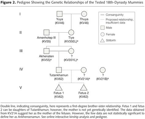 King Tutankhamun Family Tree | Foto Bugil Bokep 2017