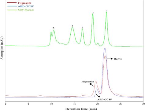 Size Exclusion Chromatography Of Filgrastim And ABD GCSF Molecular