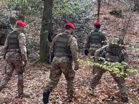 Varese I Reparti Speciali Dei Carabinieri Nei Boschi Della Droga