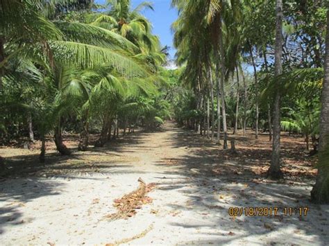 Barrigona Beach Playa Samara Costa Rica Top Tips Before You Go