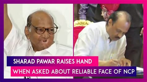 Maharashtra Politics Sharad Pawar Raises Hand When Asked Who Will Be